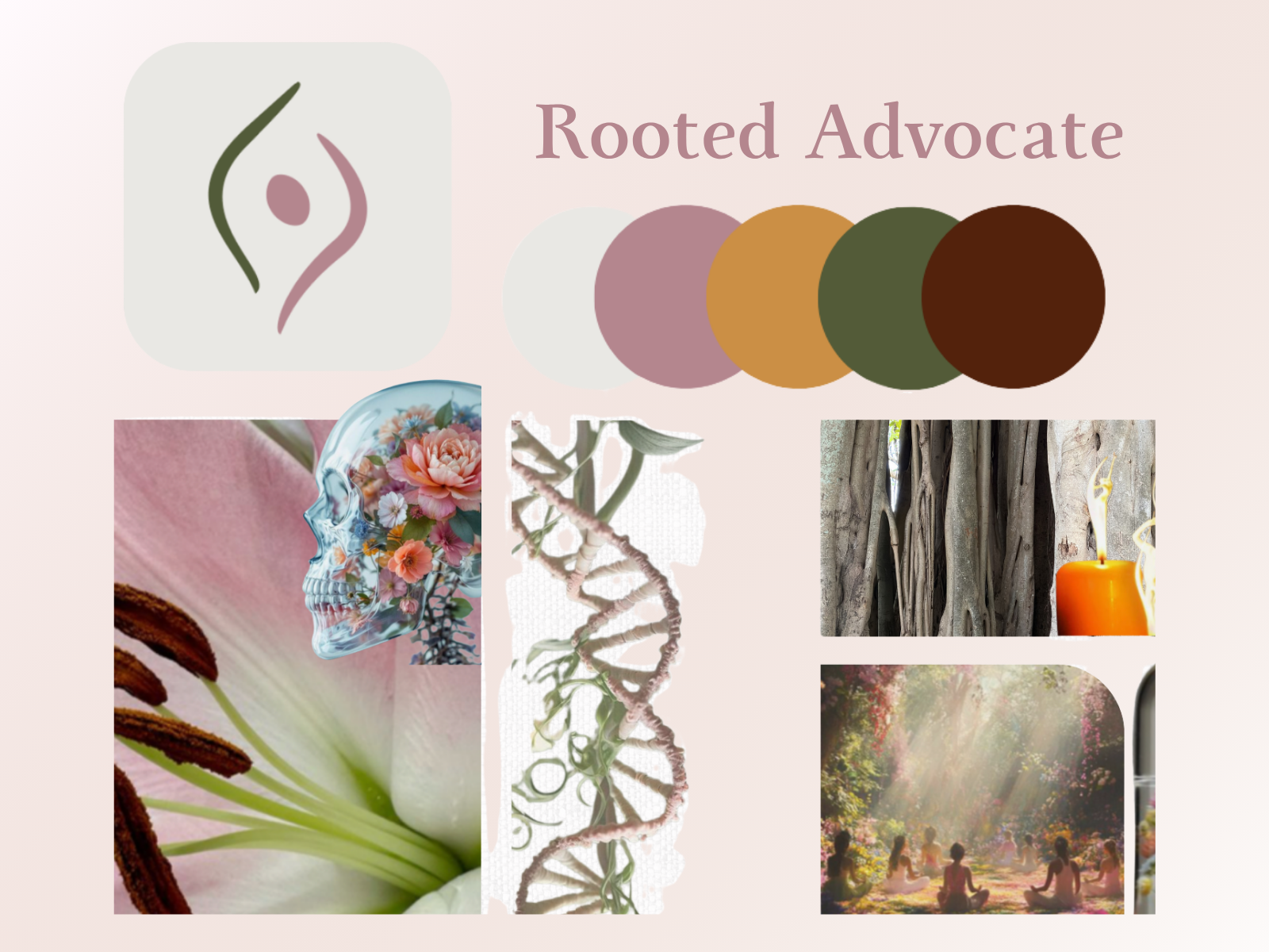 Rooted Advocate mood board