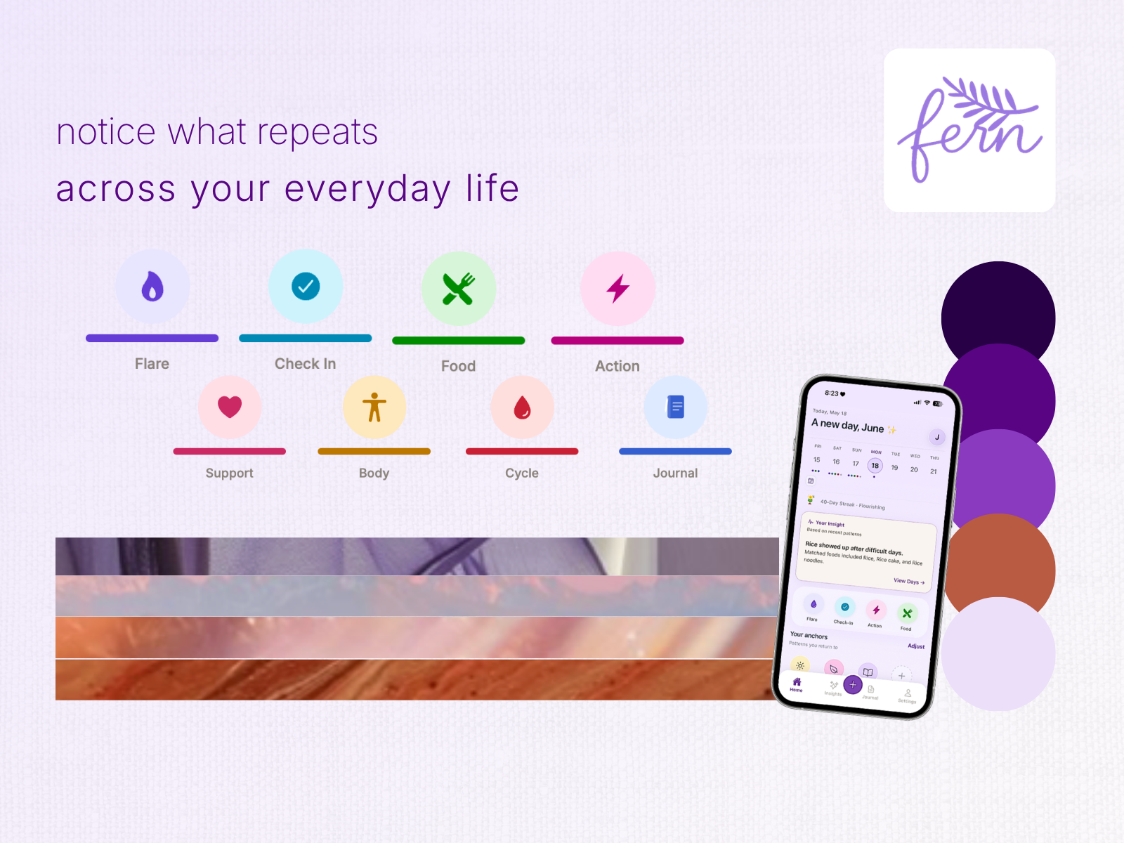 Fern website visual system
