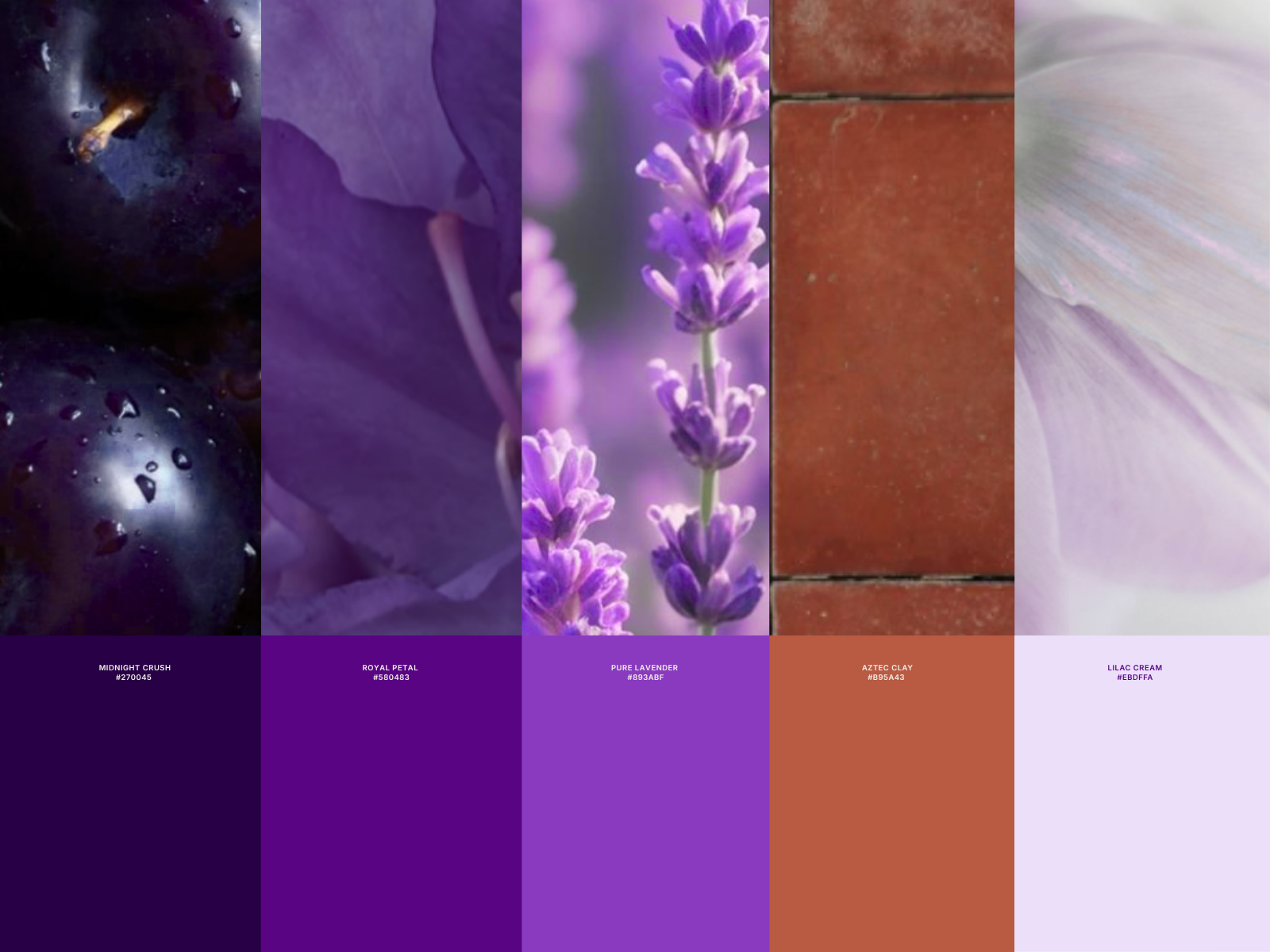 Fern website desktop and mobile